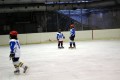 ДП Ирбис-Скейт – НСА (12г) 02-02-2014