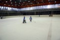ДП Ирбис-Скейт – НСА (12г) 02-02-2014