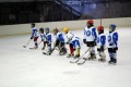 ДП Ирбис-Скейт – НСА (12г) 02-02-2014