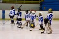 ДП Ирбис-Скейт – Славия (12г) 08-03-2014